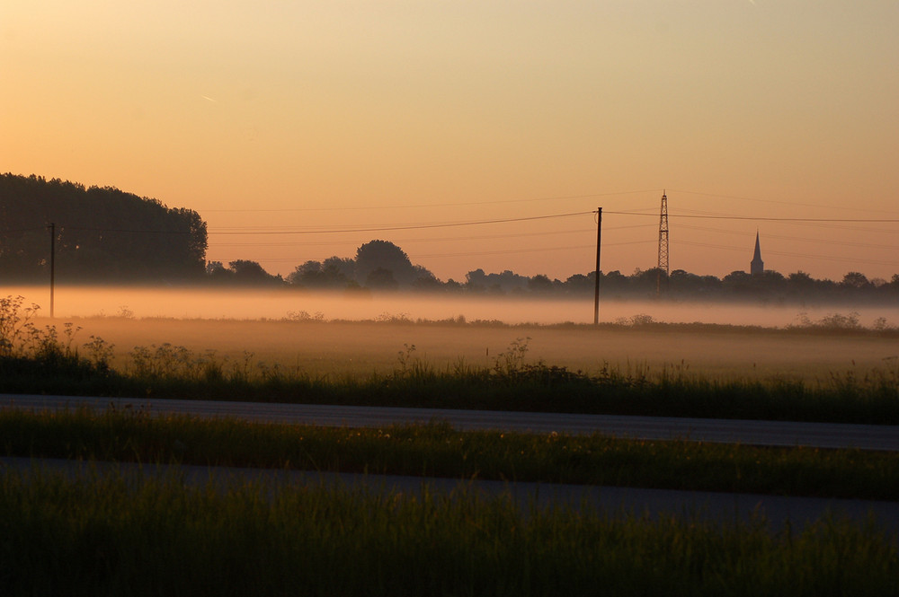 Frühnebel