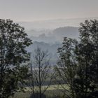 Frühnebel bei Bad Schussenried