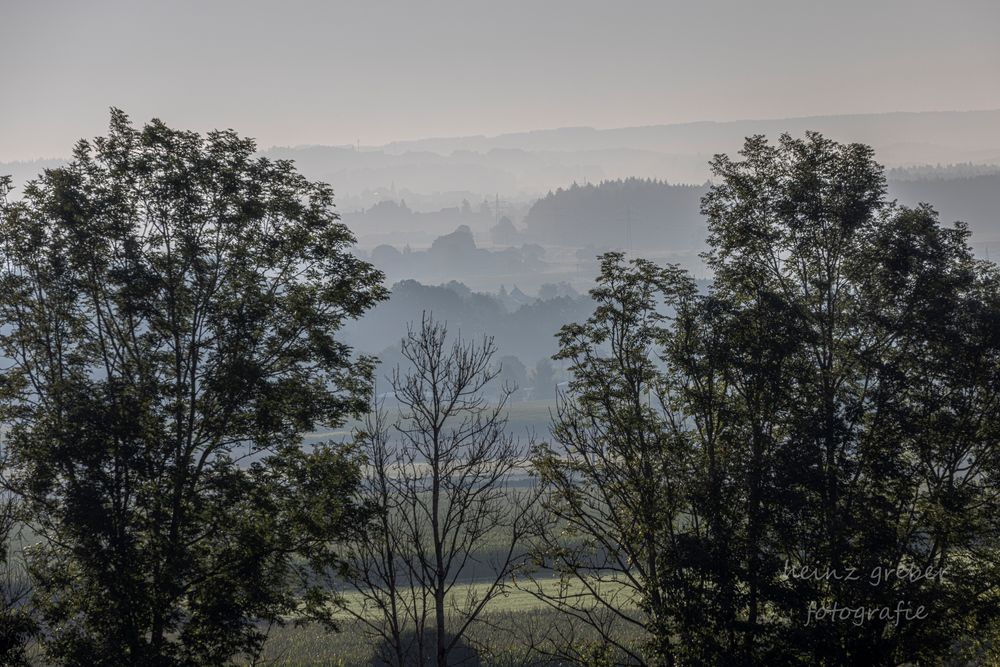 Frühnebel bei Bad Schussenried