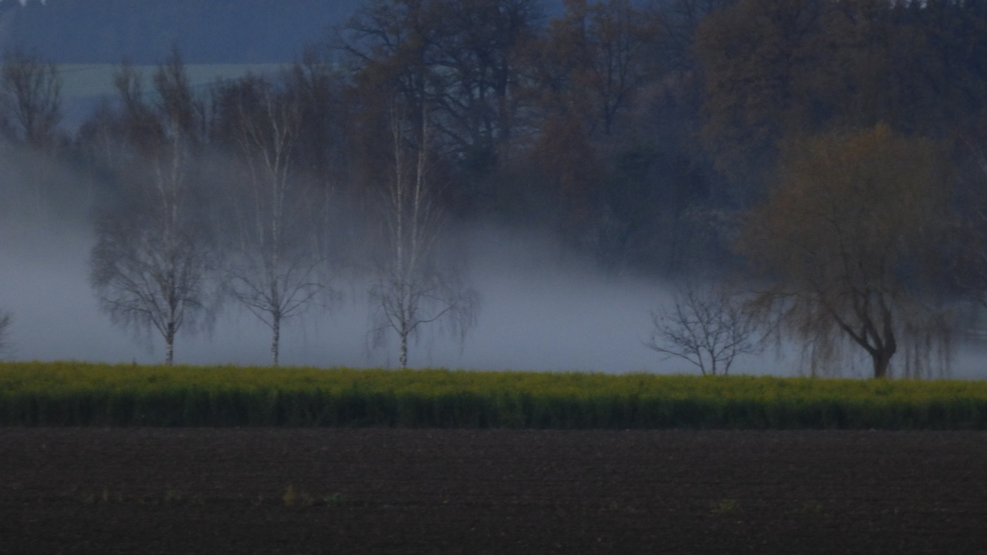 Frühnebel bei Dachau