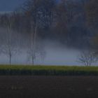 Frühnebel bei Dachau