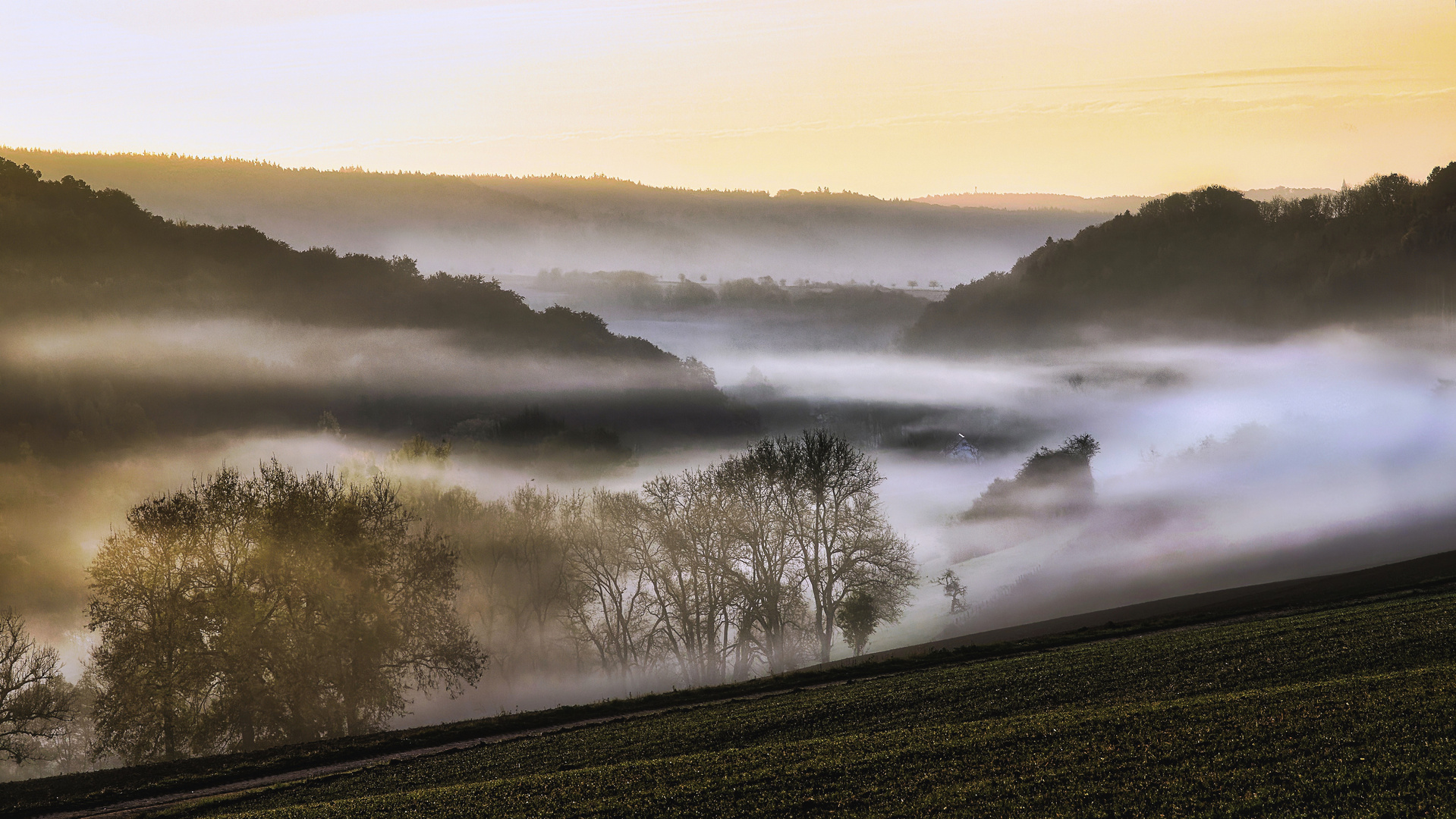 Frühnebel bei Sonnenaufgang