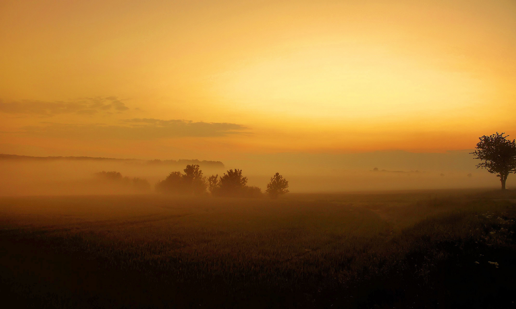 Frühnebel bei Welfesholz