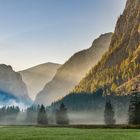 Frühnebel beim Hochmoor ...