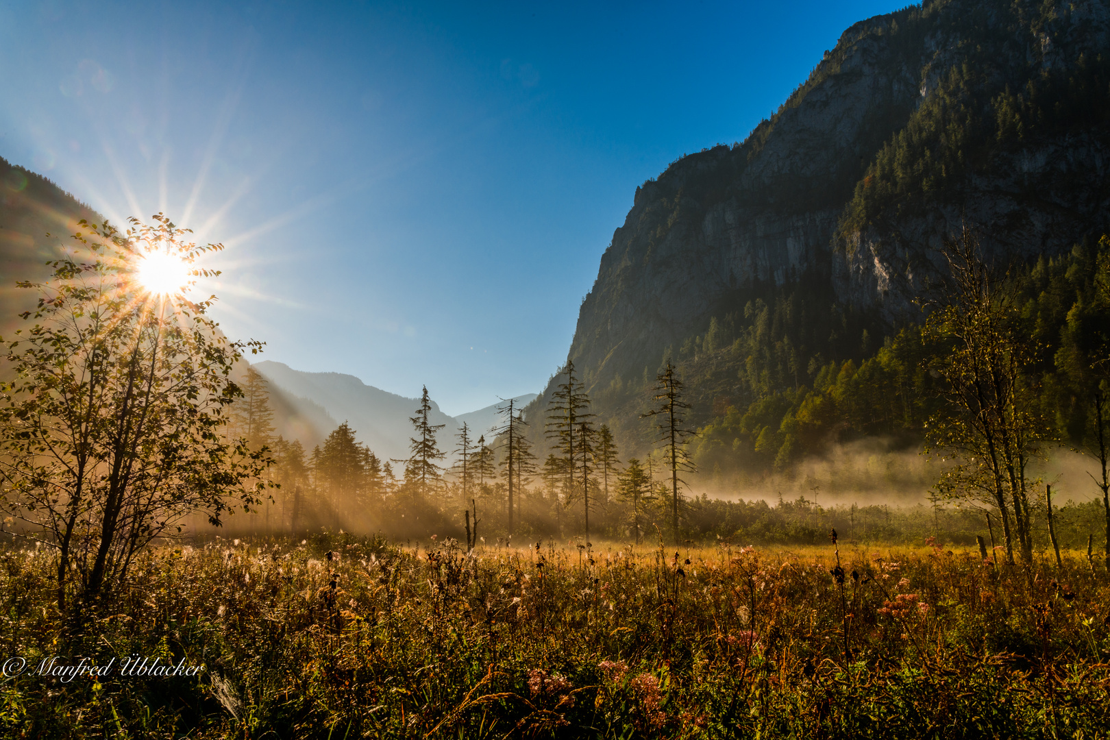 Frühnebel beim Hochmoor ...