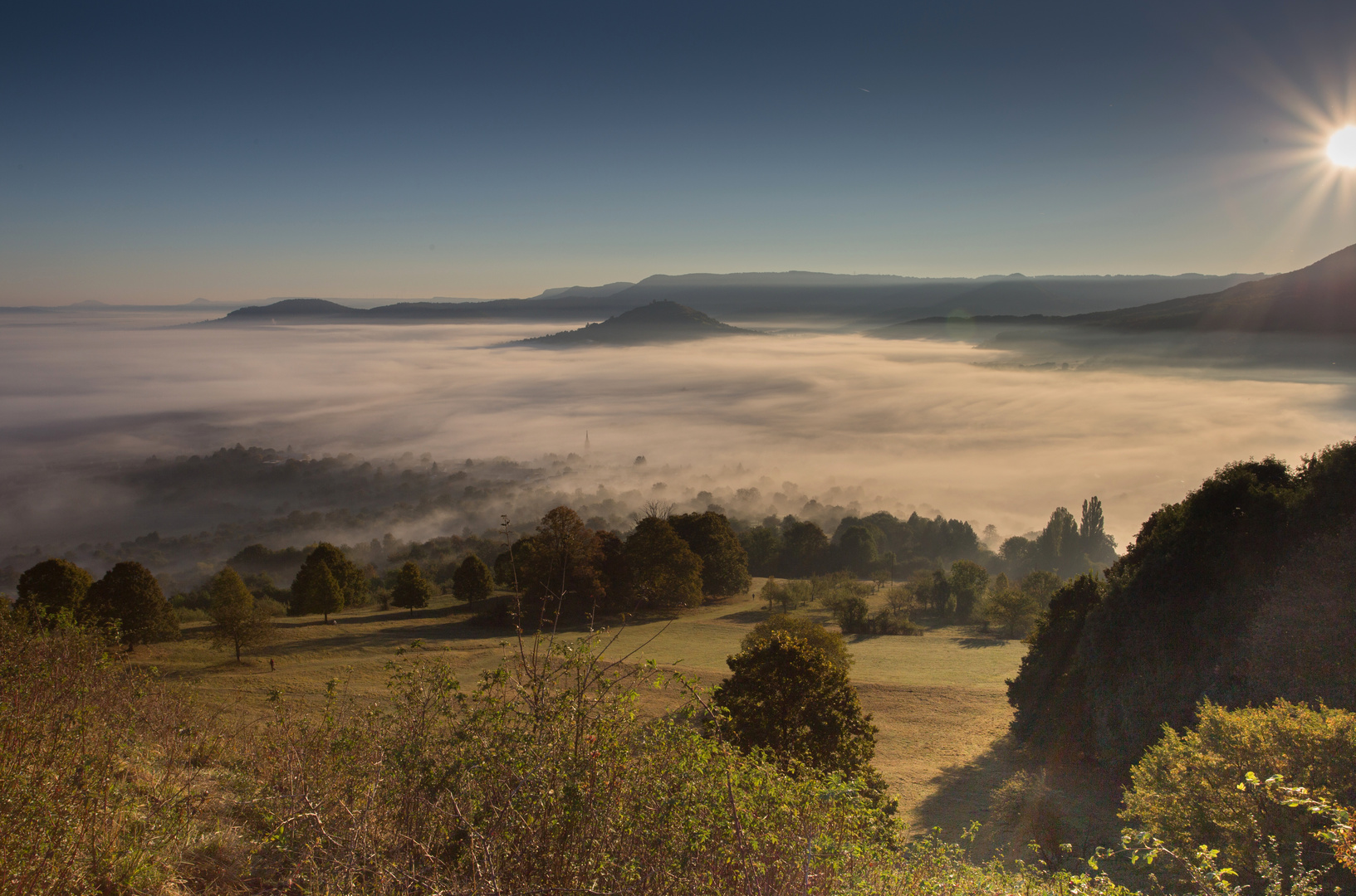 Frühnebel