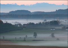 Frühnebel