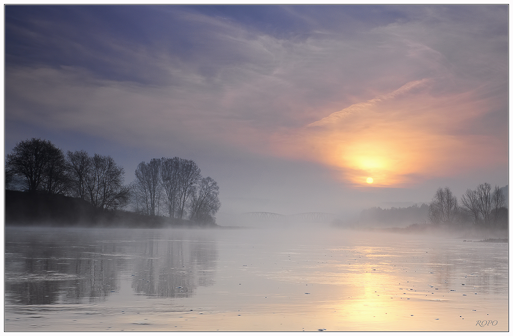 Frühnebel