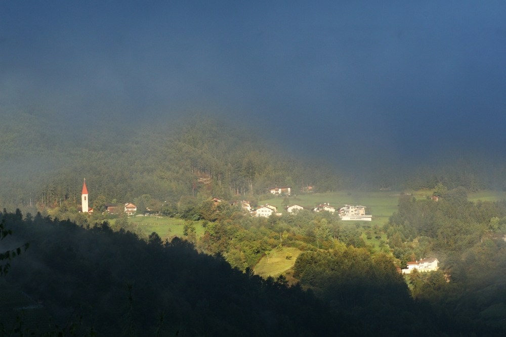 Frühnebel