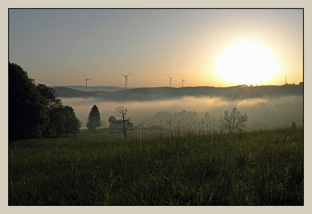 Frühnebel