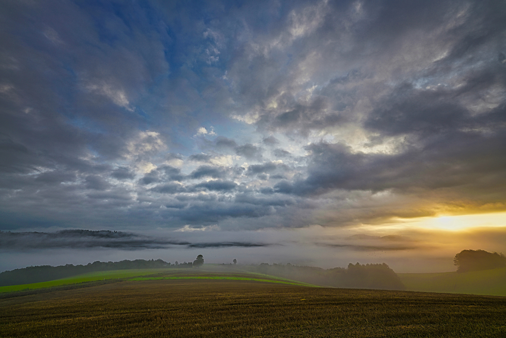 Frühnebel