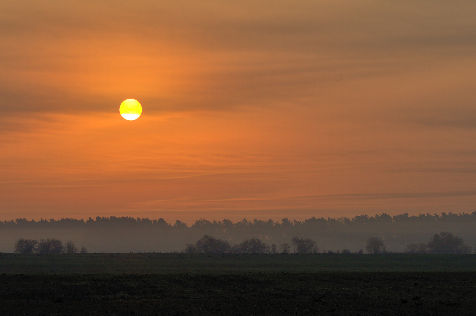 Frühnebel