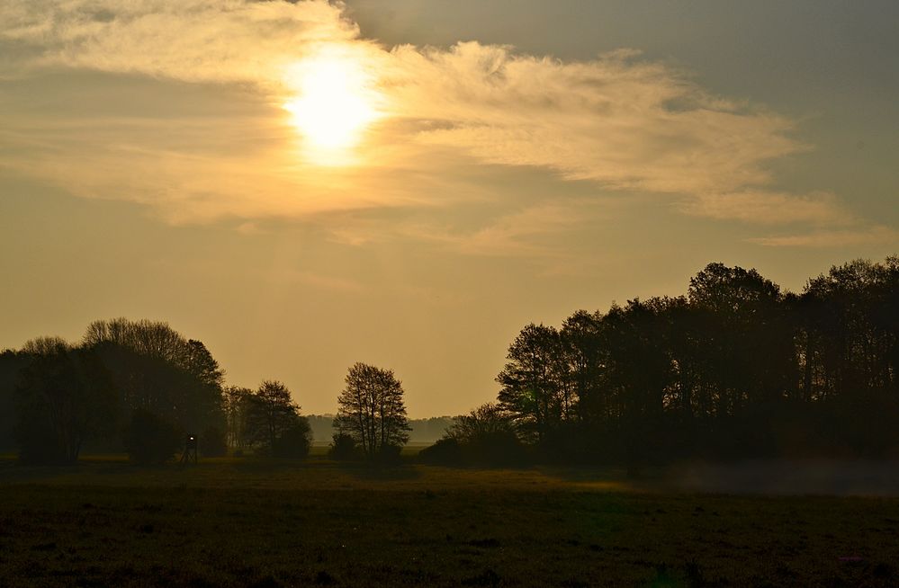 Frühnebel