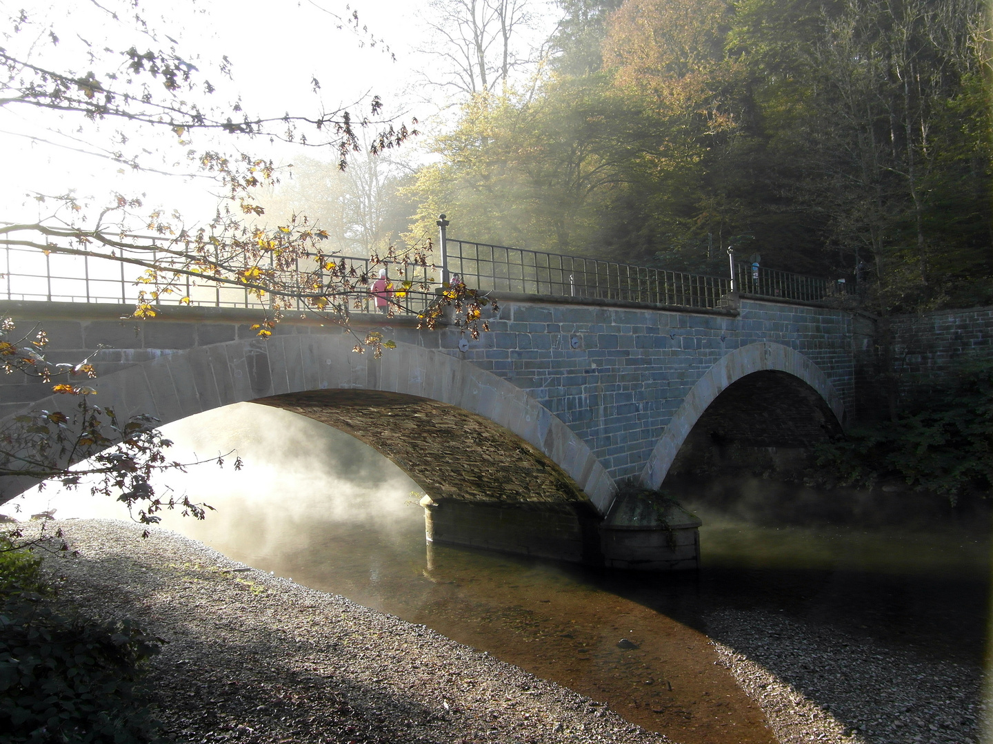 Frühnebel