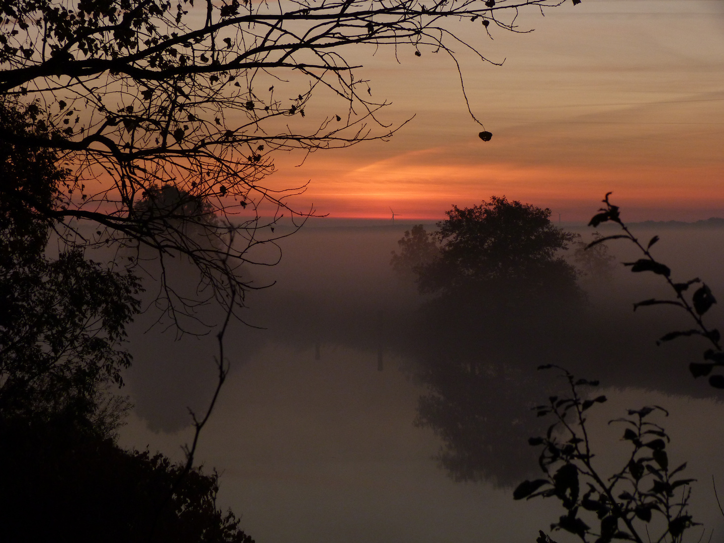 Frühnebel