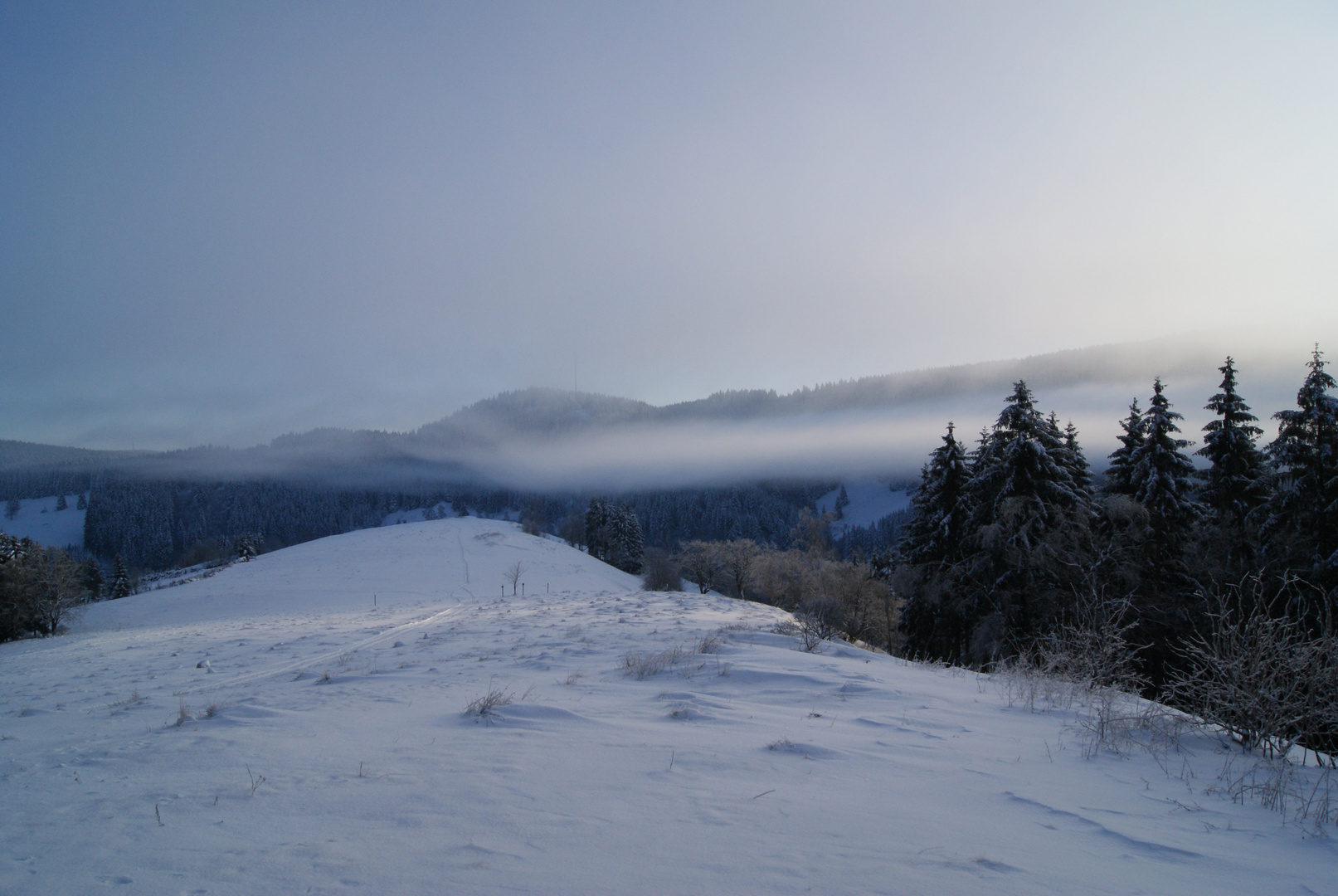 Frühnebel