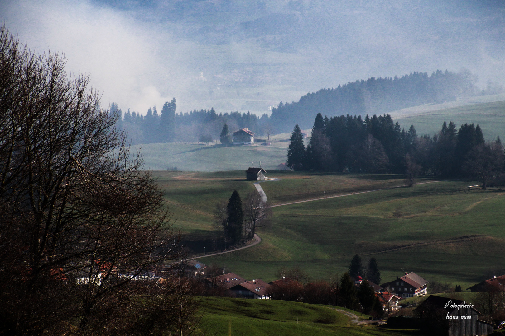 Frühnebel