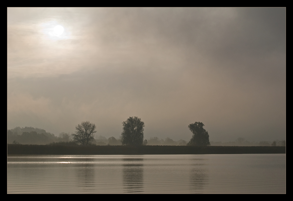 Frühnebel