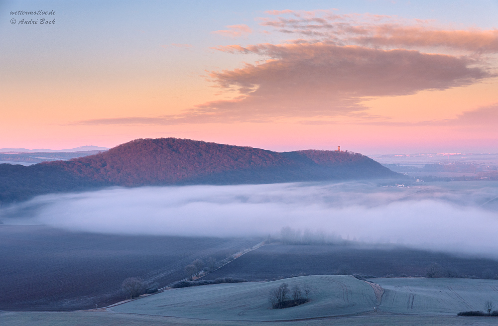 Frühnebel