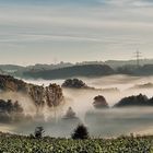 Frühnebel....