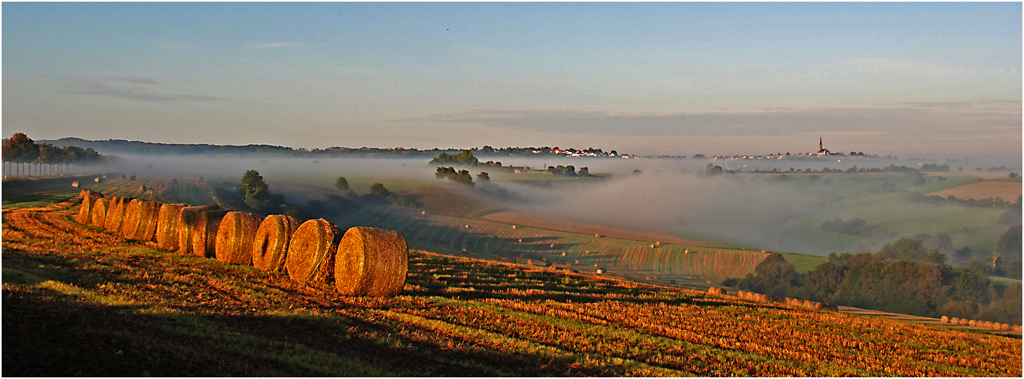 Frühnebel