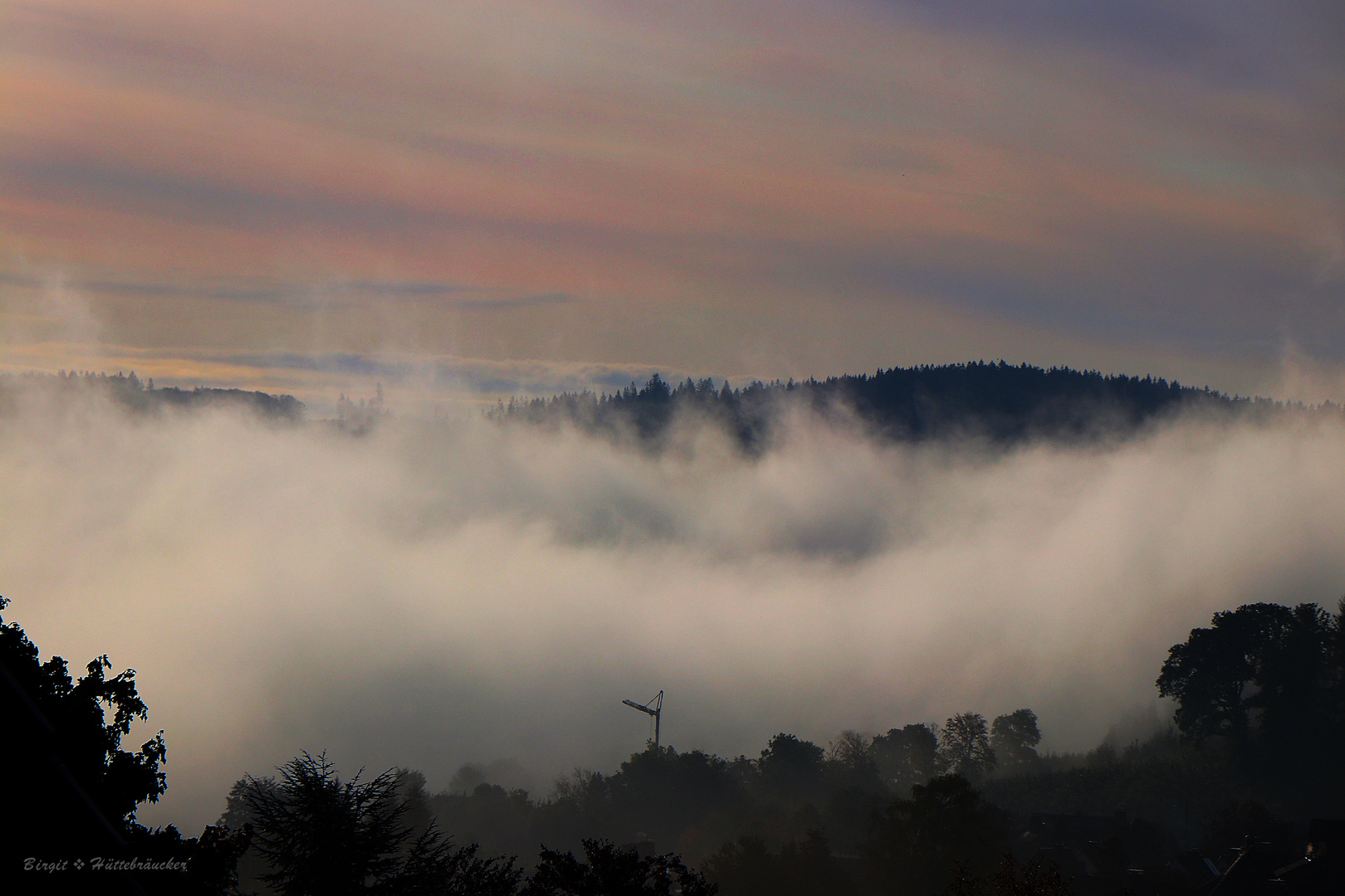 Frühnebel