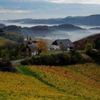 Frühnebel gerade vor Sonnenaufgang in der Südsteiermark