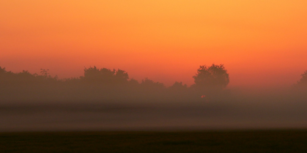 frühnebel I