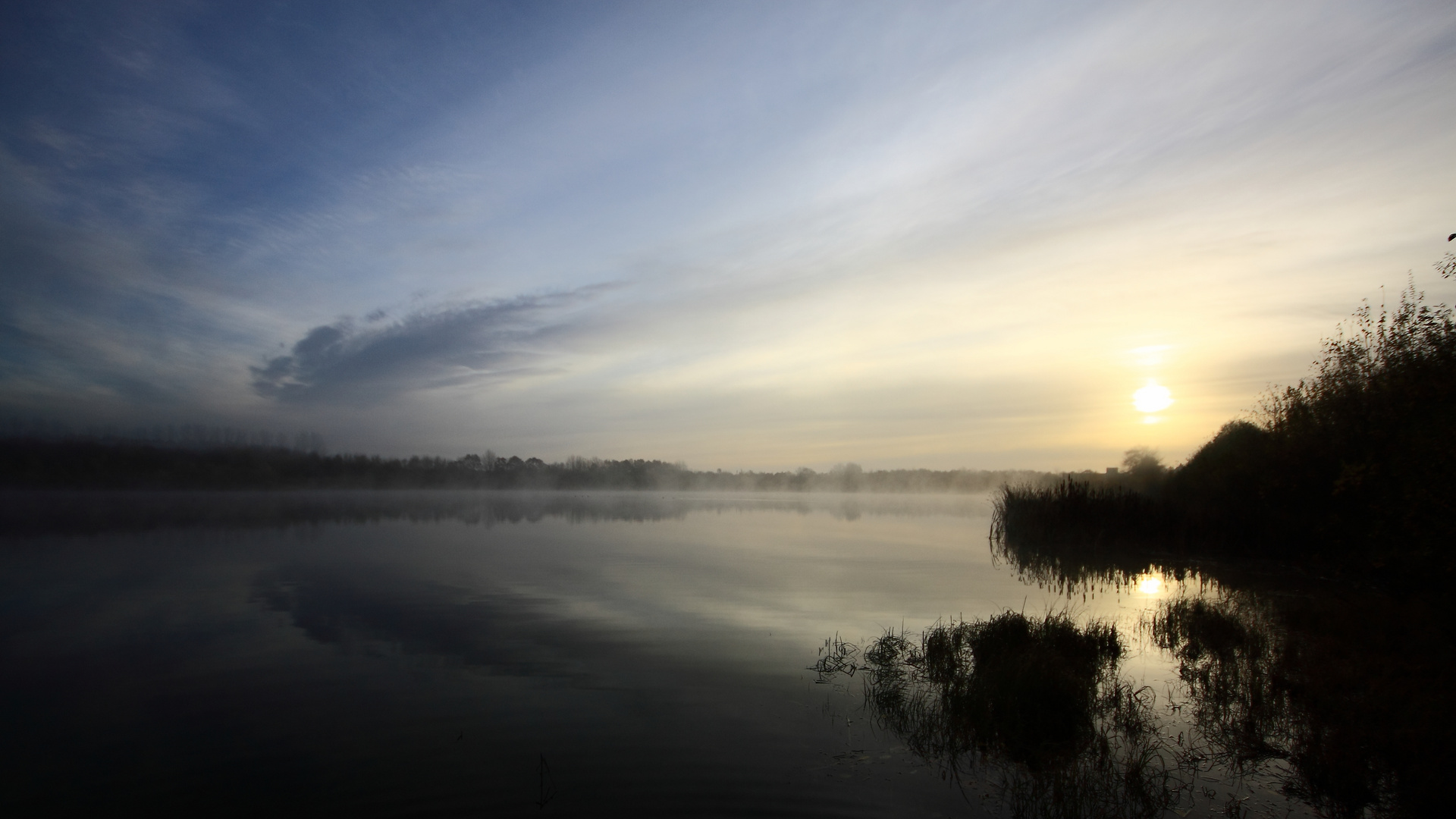 Frühnebel I