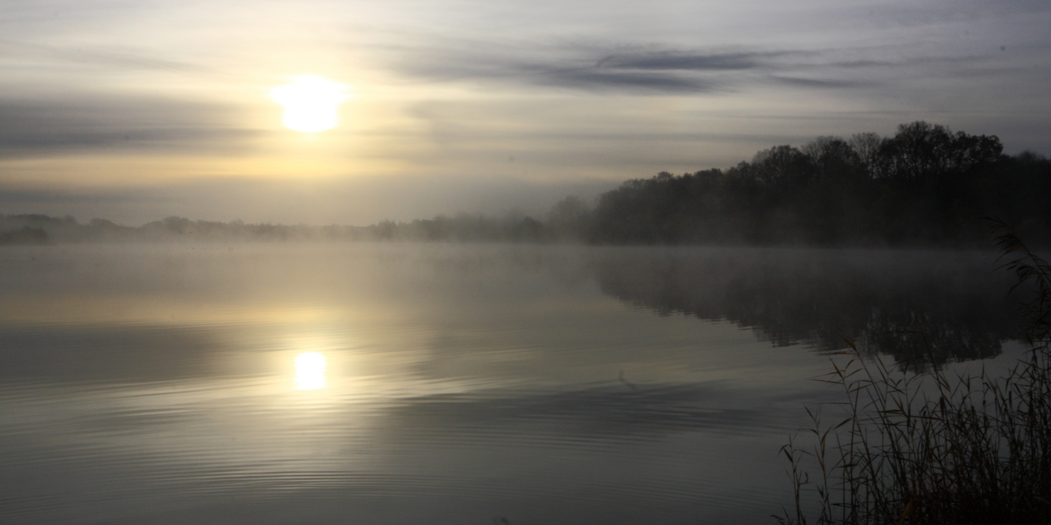 Frühnebel II