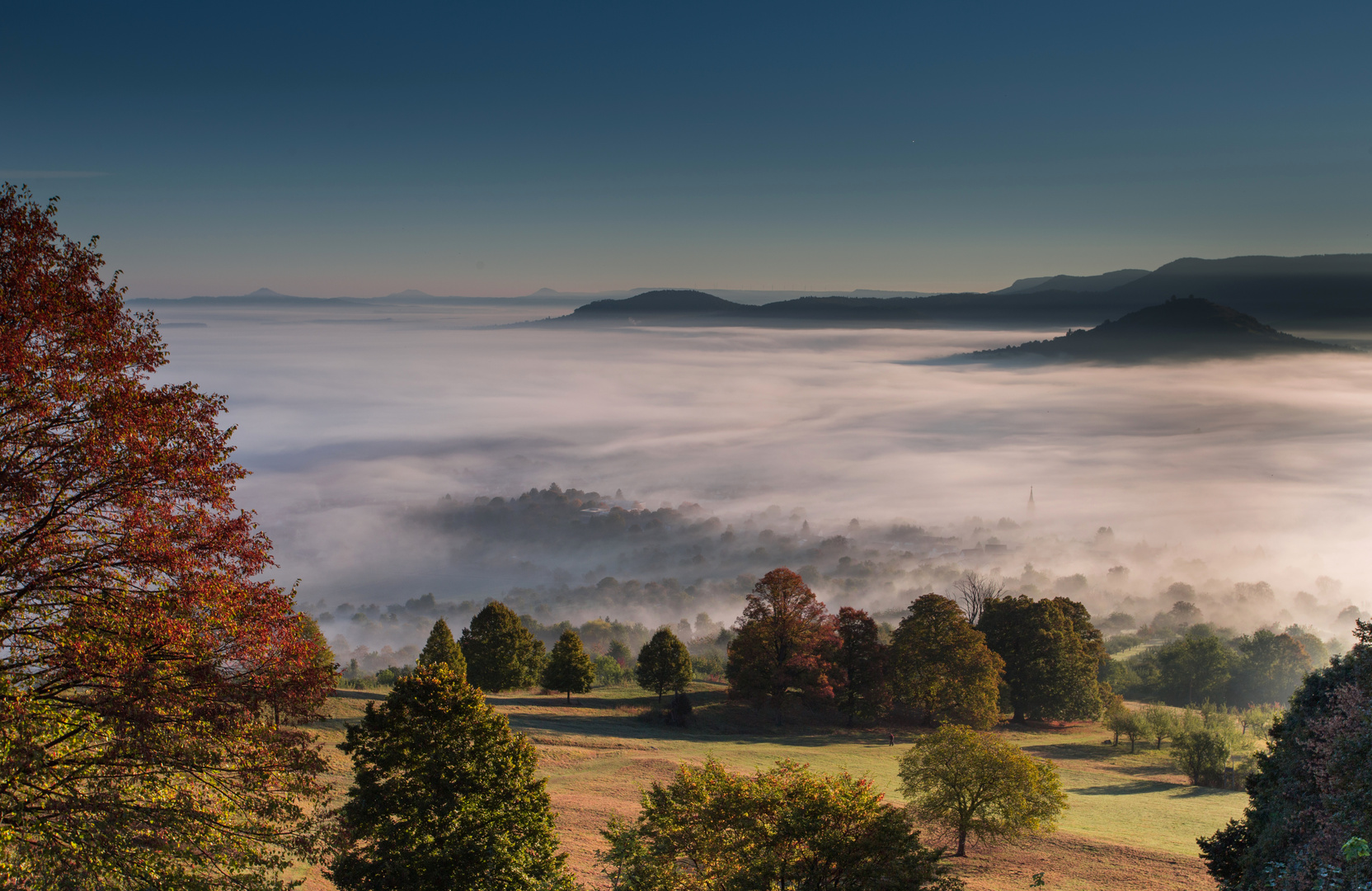 Frühnebel II