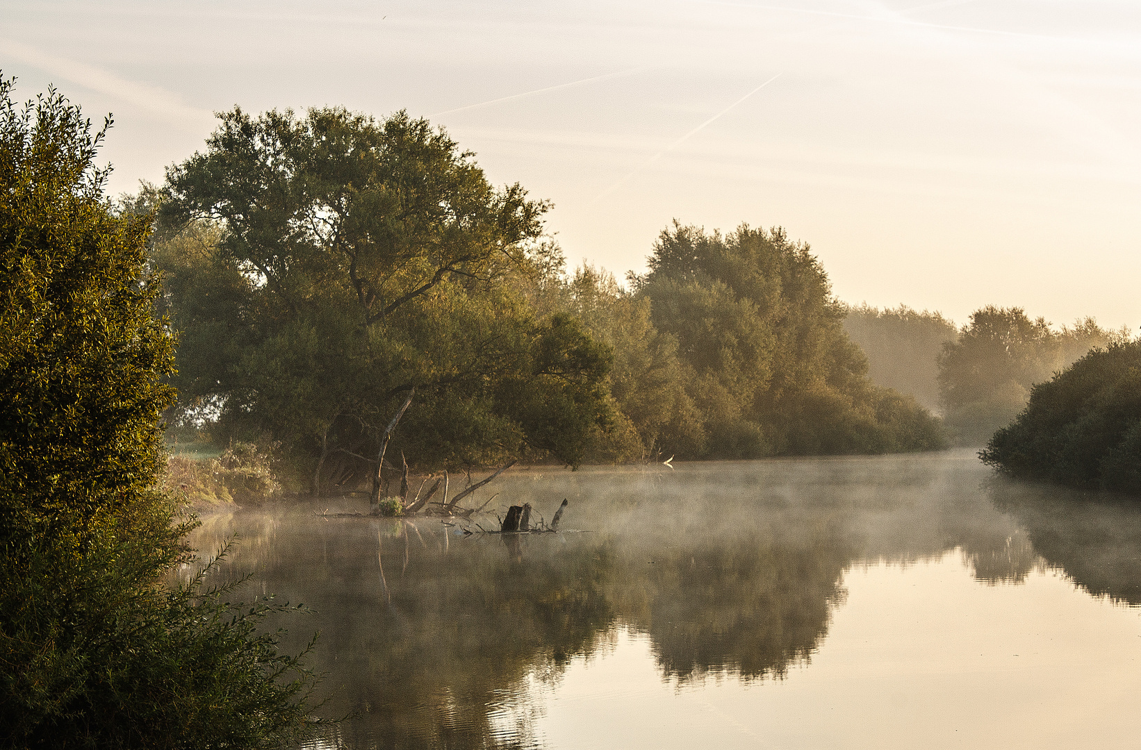 Frühnebel III