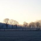 Frühnebel im Allgäu