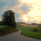 Frühnebel im Allgäu