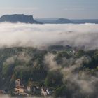 Frühnebel im Elbsandsteingebirge