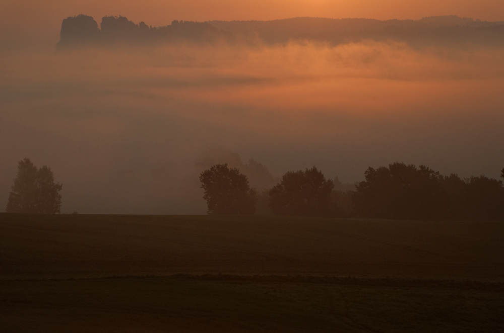 Frühnebel im Elbtal