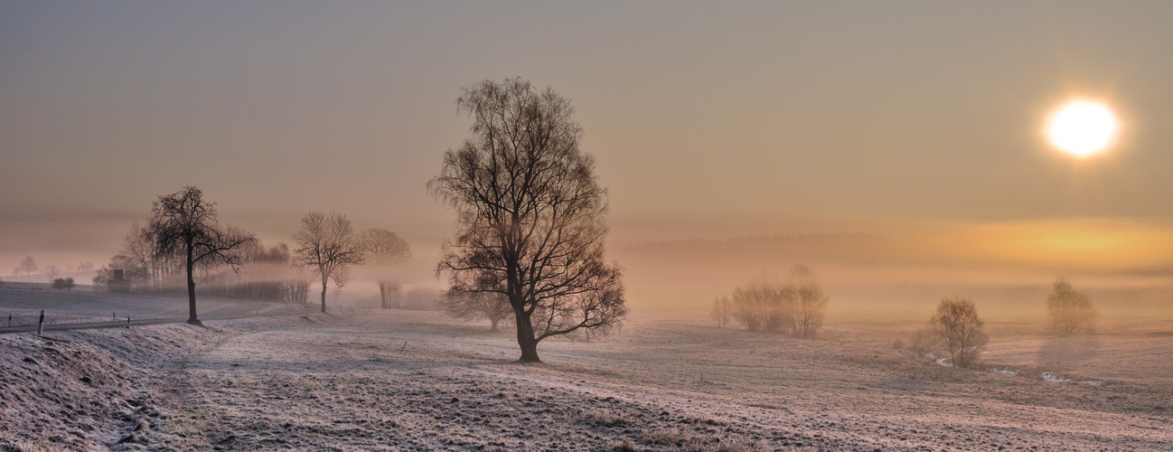 Frühnebel im Februar Foto & Bild | sonnenaufgang, wolken, natur Bilder auf fotocommunity