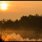 Frühnebel im Goldenstedter Dreiecksmoor