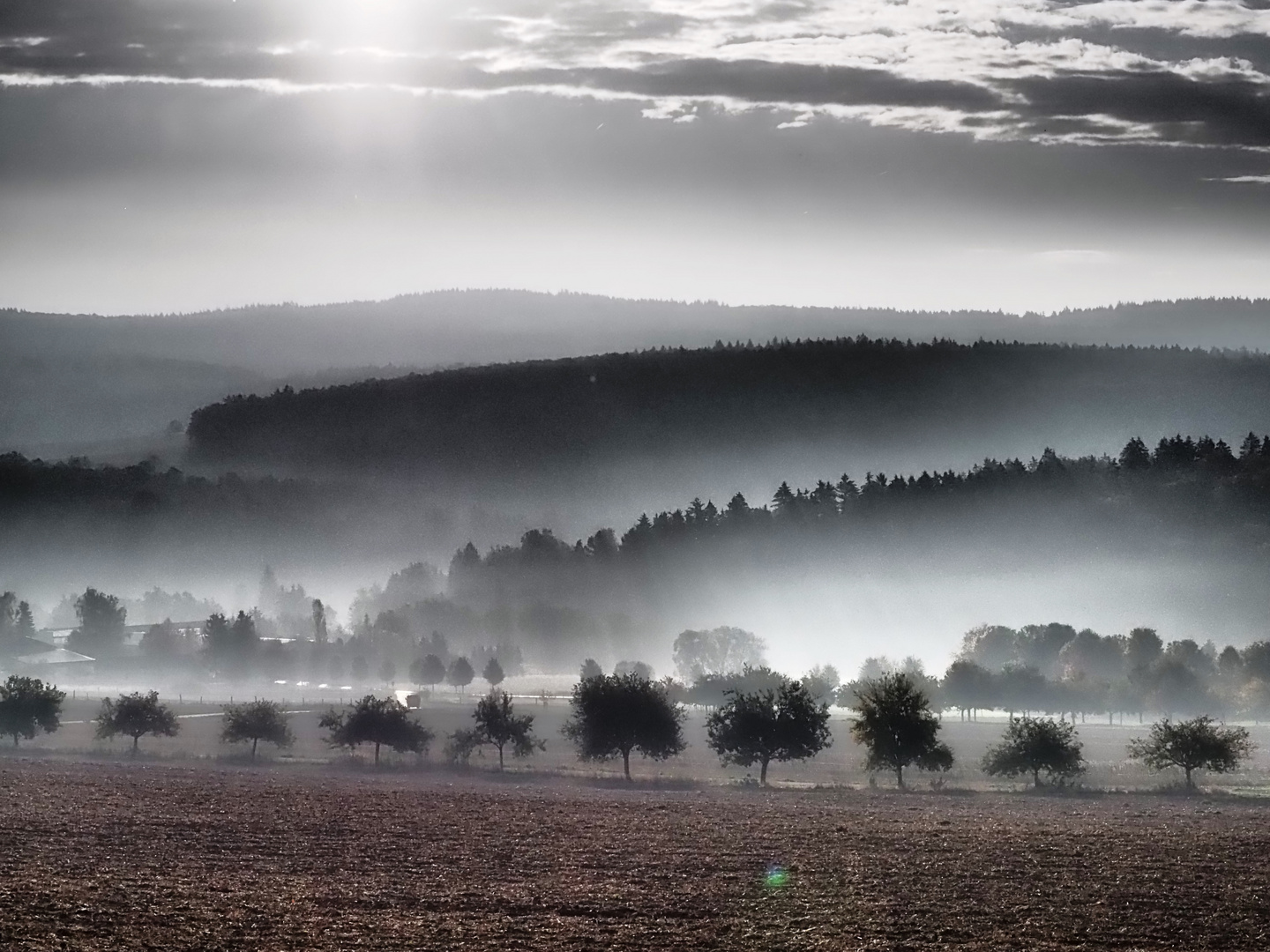 Frühnebel im Herbst