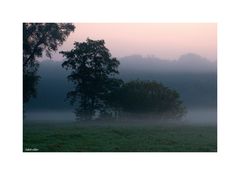 Frühnebel im Hülser Bruch