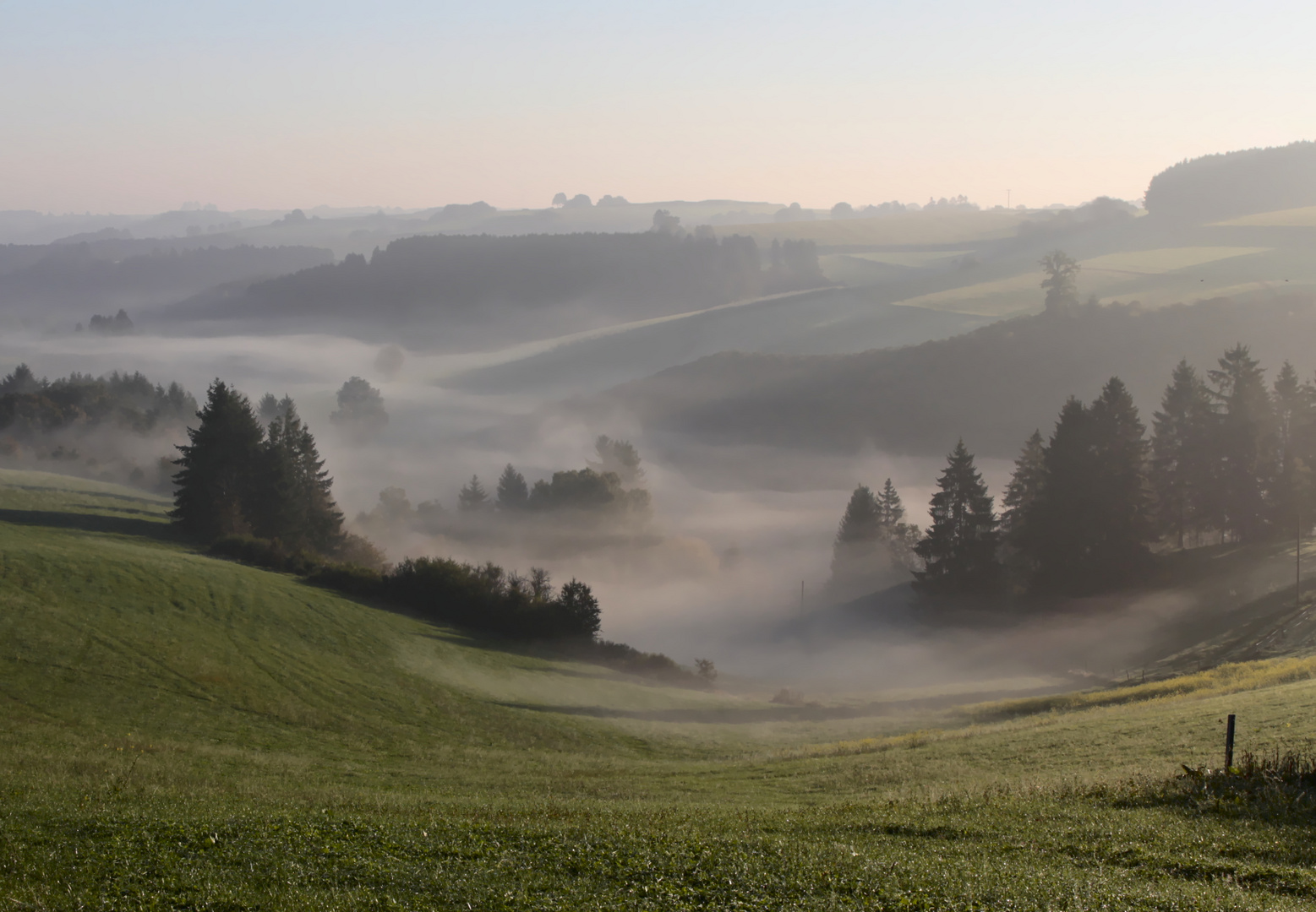 Frühnebel im Irsental