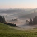 Frühnebel im Irsental