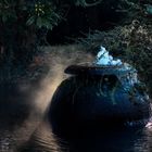 Frühnebel im Japanischen Garten in Leverkusen