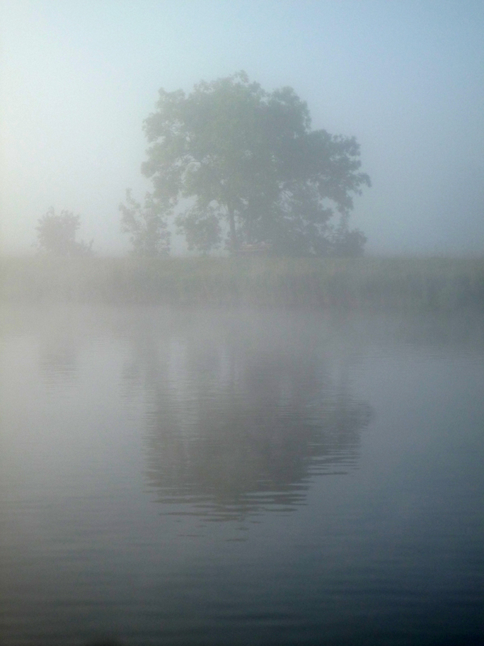 Frühnebel im Juni