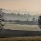 Frühnebel im Kraichgau