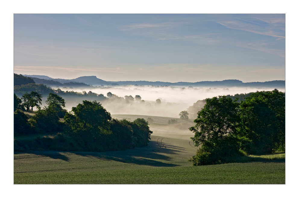 Frühnebel im Kraichgau