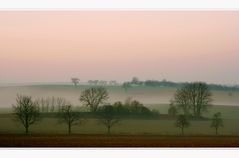 Frühnebel im Kraichgau II