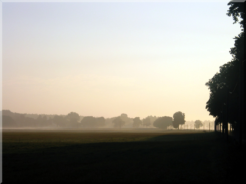 Frühnebel im Land Fleesensee 3