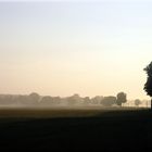 Frühnebel im Land Fleesensee 3