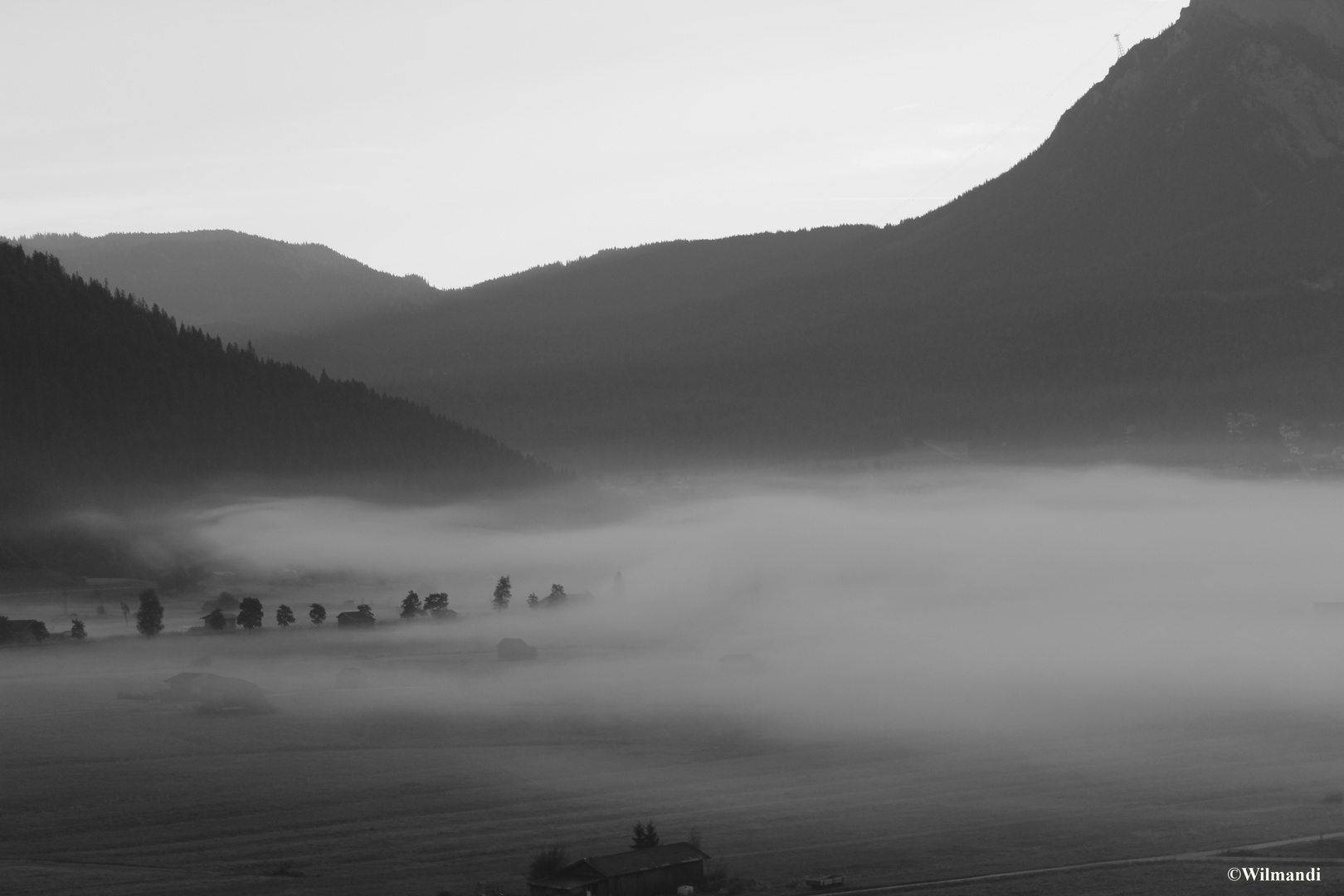 Frühnebel im Moos